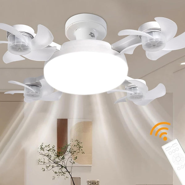 Ceiling Fan With Light